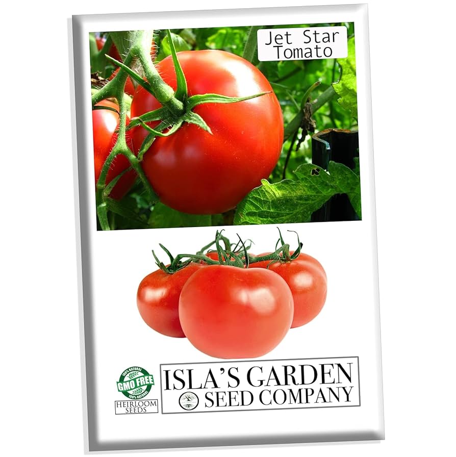 Tomato  Cherry Bomb Tomato (Organic F1 Hybrid 64 Days ) – Pinetree